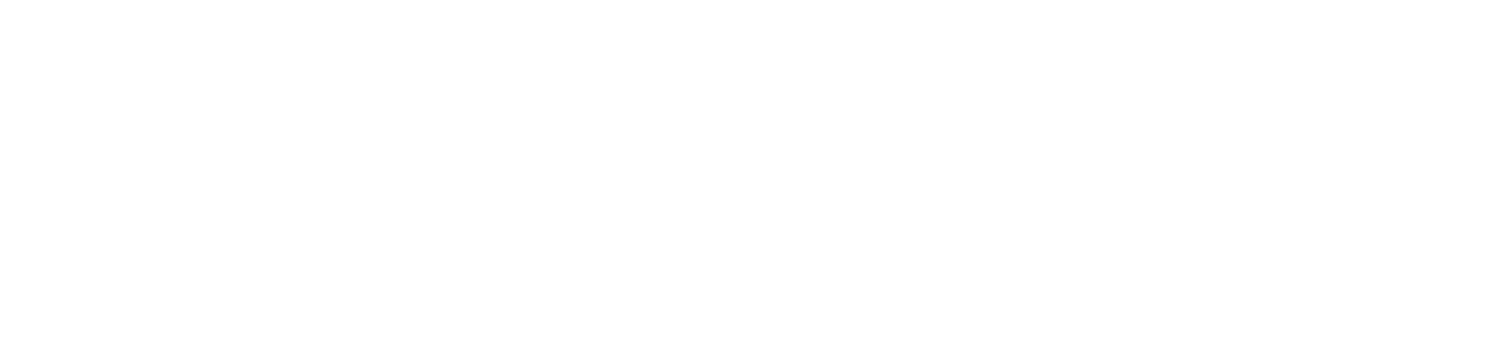 логотип surebetting